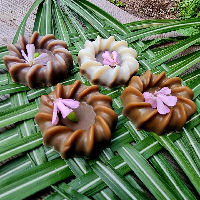 Kruidenzeepjes maken met Wildpluk Moos