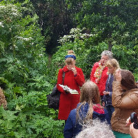 Wildplukwandeling in Het Twiske
