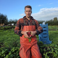 Van Zaadje tot Oogst: hoe je effectief en biologisch tuiniert