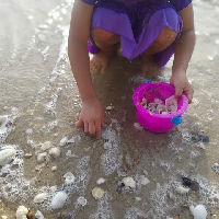 Mad Science | Zand en Zee