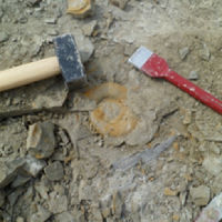 Continenten & vulkanen