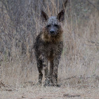 Expositie: Natuurlijk Zuid-Afrika