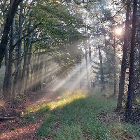 IVN Lentewandeling De Stippelberg
