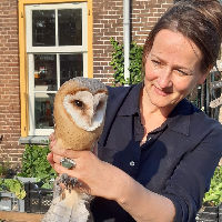 Het Wilde Stadscafé: De stem van de natuur aan tafel