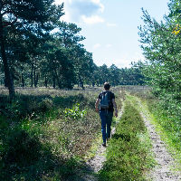 Themacafé: 90 jaar vrienden van 't Gooi