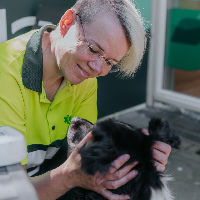 In the Spotlight: Dierenambulance Gooi & Vechtstreek