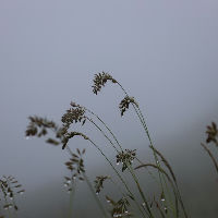 Verlies van gezondheid: wat betekent dat?