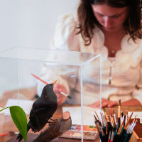 Workshop: Maak je eigen Travel Journal