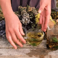 Kruidenwandeling & workshop