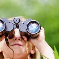 Avontuurtje:  Psst… hoor je dat gefladder? Kom vogels spotten in de bieb!