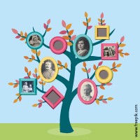 Van start met jouw stamboom