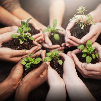 Zadenruil en zadenzakjes maken