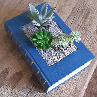 Workshop: Van boek tot bloempot