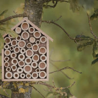 Avontuurtje: Help de bijen! Seed bombs & bijenblikjes maken