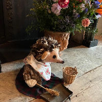 Voorstelling 'De Egel Maakt Schoon' door Theater het Molletje