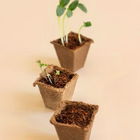 Planten- en stekjes ruilmarkt