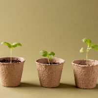 Bieb Café Akkrum-Nes 08-05-2026 10:15