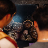 Tentoonstelling: Diversiteit van Leven