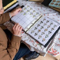 Kijk, verzamelingen! Een passie voor Melkcup dekseltjes