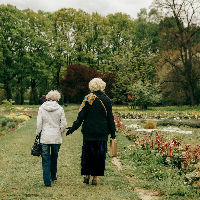 Leer planten herkennen met je smartphone