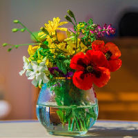 Workshop bloemschikken met Harry Didden