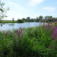 Lezing en wandeling historisch Lith