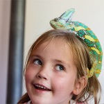 TalentenLab Heemskerk: Reptielen in de Bibliotheek met Exotus Serpenti